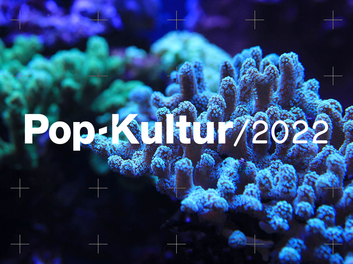 On the left side of the picture are yellow and purple corals blurred in the background, from the middle of the picture and towards the right, the corals can be seen more clearly. They look like red and black little fingers of different lengths, stretching upwards, covered with countless small white circles. In the foreground is the writing Pop-Kultur 2022. Spread across the whole picture are thinly drawn crosses made of a horizontal and a vertical short line. They form a grid.