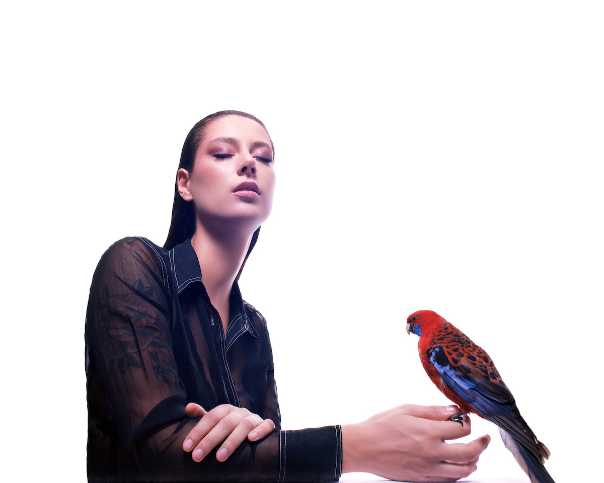 Female person is seen in a semi close-up, she is wearing a transparent black blouse, which gives a hint of her tattoos on her arm. Her right arm is bent, her forearm rests on the lower edge of the picture, her left hand rests on her right forearm. A red and blue parrot is sitting on her right index finger. The woman has closed her eyes and her long hair is slicked back.